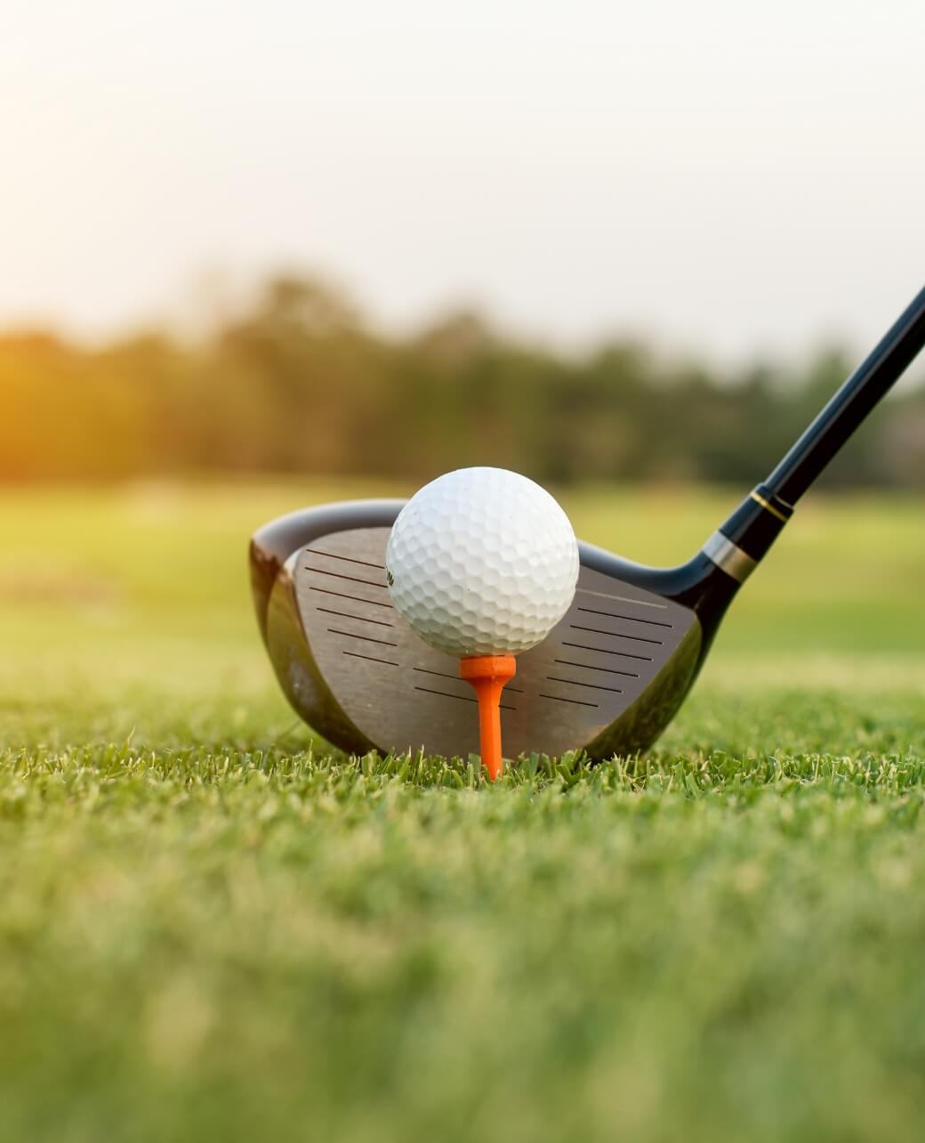 Golf club and ball